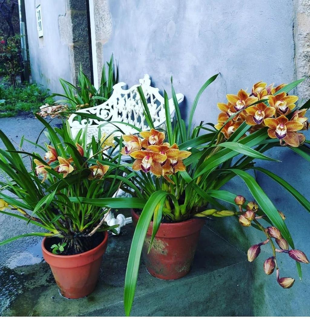 A Casa Da Parrula Apartman Santiago de Compostela Kültér fotó
